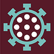 coronavirus coronavirus