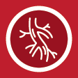 vascular screening vascular screening
