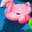 summer safety, pool safety