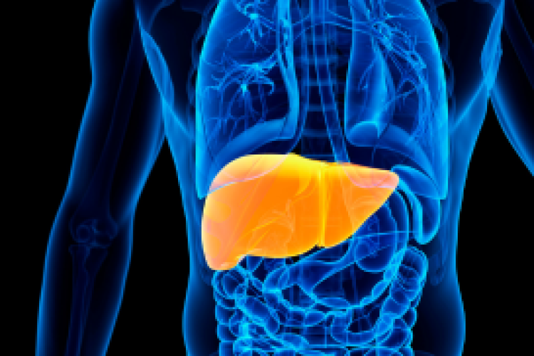 Fatty Liver Disease